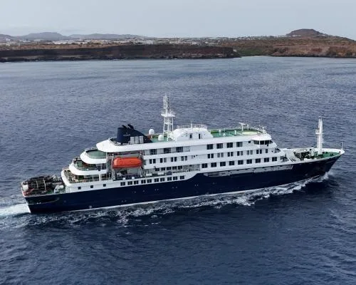 Hantavirus Outbreak on Cruise Ship Prompts Emergency Evacuation