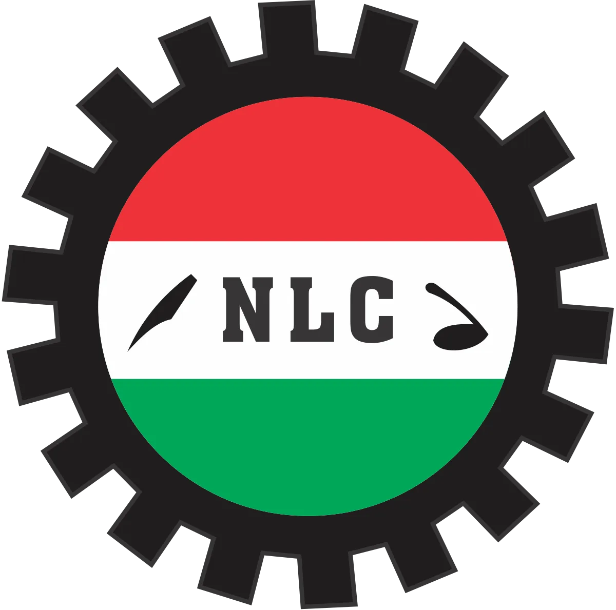 Nigeria Labour Congress Demands Protection for Migrants in South Africa