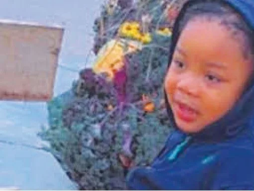 Six-Year-Old Dies in Tragic Fall from 28th-Floor Apartment in Toronto