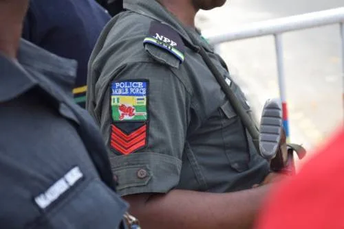 Nigerian Police Raid Suspected IPOB Camp, Recover Arms in Imo