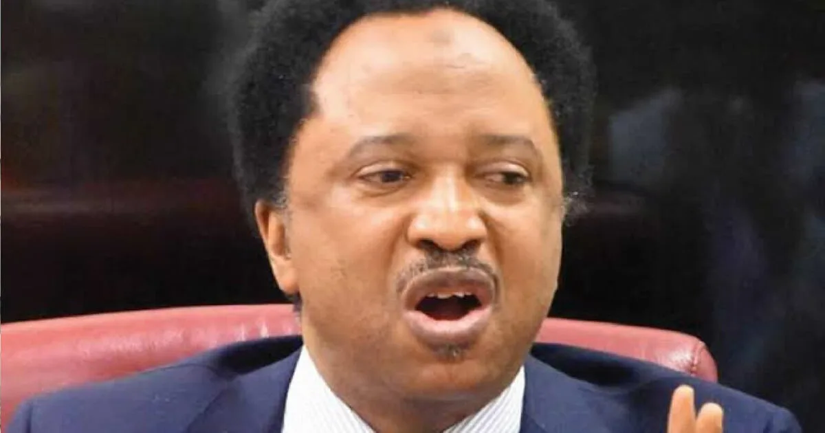 Shehu Sani Calls on Nigerian Youths to Fund Young Candidates