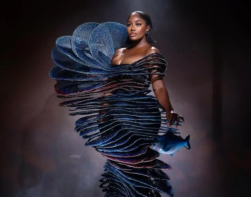 Actress Nana Akua Addo and Fashion Brand Embroiled in AMVCA Dress Design Dispute