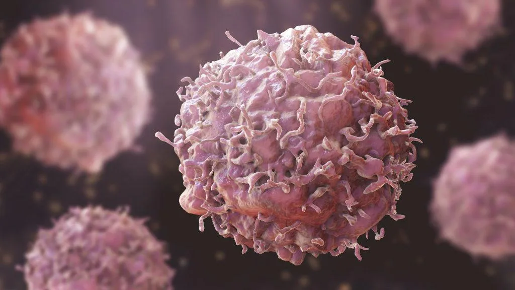 You Can Prevent Up to Half of All Cancer Cases — Here's How