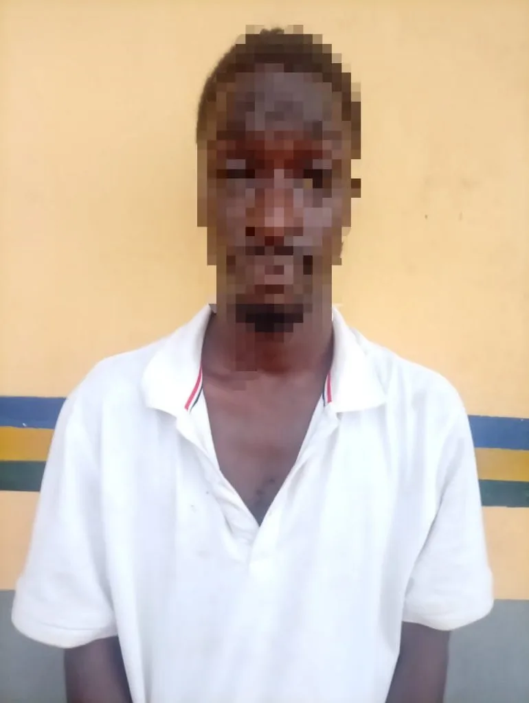 Ogun Police Arrest 23-Year-Old for Alleged N10m Fake Bank Transfer