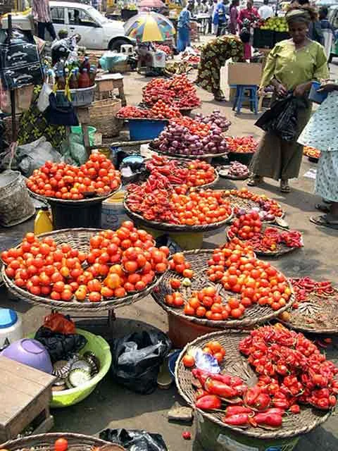Toxic Tomatoes: Nigeria's Street Food Vendors Forced to Use Rotten Produce