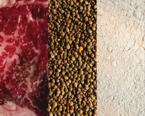 Understanding Protein Sources: Experts Weigh In on the Best Options