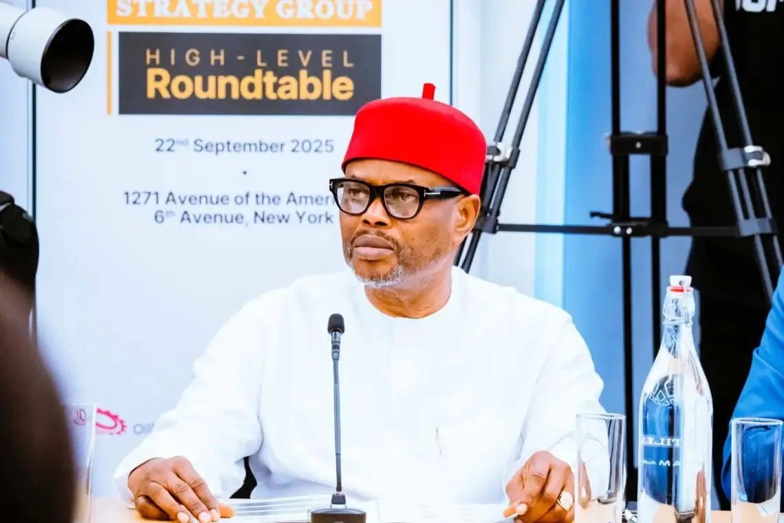 Wike's PDP Faction Clears Ex-Minister Uche Nnaji for Governorship Despite Certificate Forgery Scandal