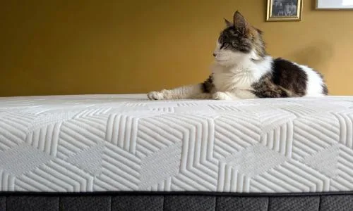 You Could Be Wasting Thousands on the Wrong Mattress: Here's How to Choose
