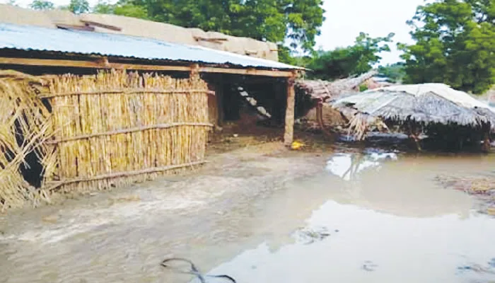 Rainy Season Brings Deadly Disease Outbreaks to Zamfara State