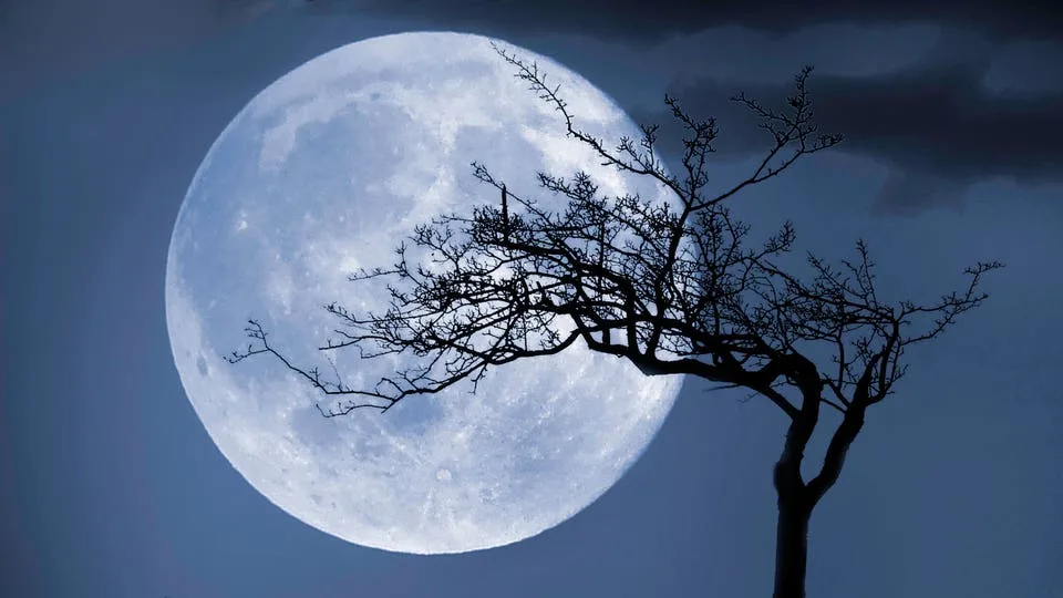 Rare Blue Moon to Rise This Week: What You Need to Know