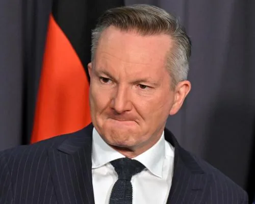 Australia's Energy Minister Chris Bowen Defends COP Role Amidst Controversy Over Travel Expenses