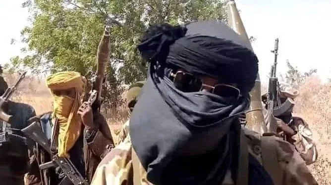 Terrorists Take Over Forests, Grazing Reserves in Nigeria