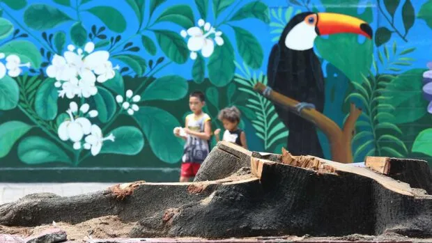 Mass Tree Cutting on Quirino Avenue Sparks Protest