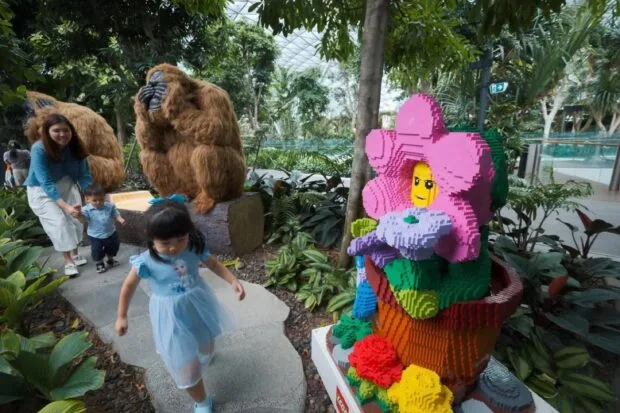 Singapore's Jewel Changi Airport Unveils 800,000 Lego Bricks Installation
