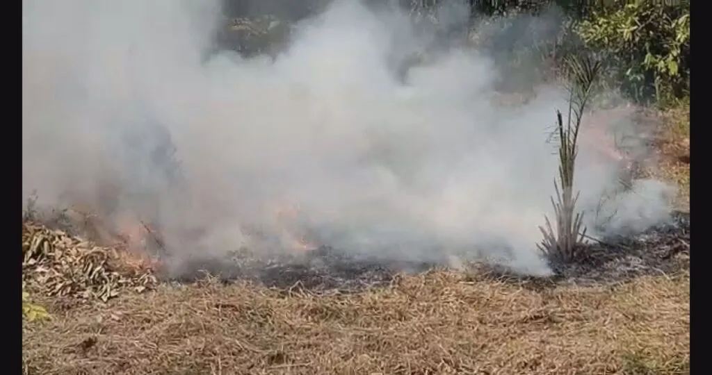 Chale, the smoke is killing us: How farm clearing is turning Ghana’s air into poison