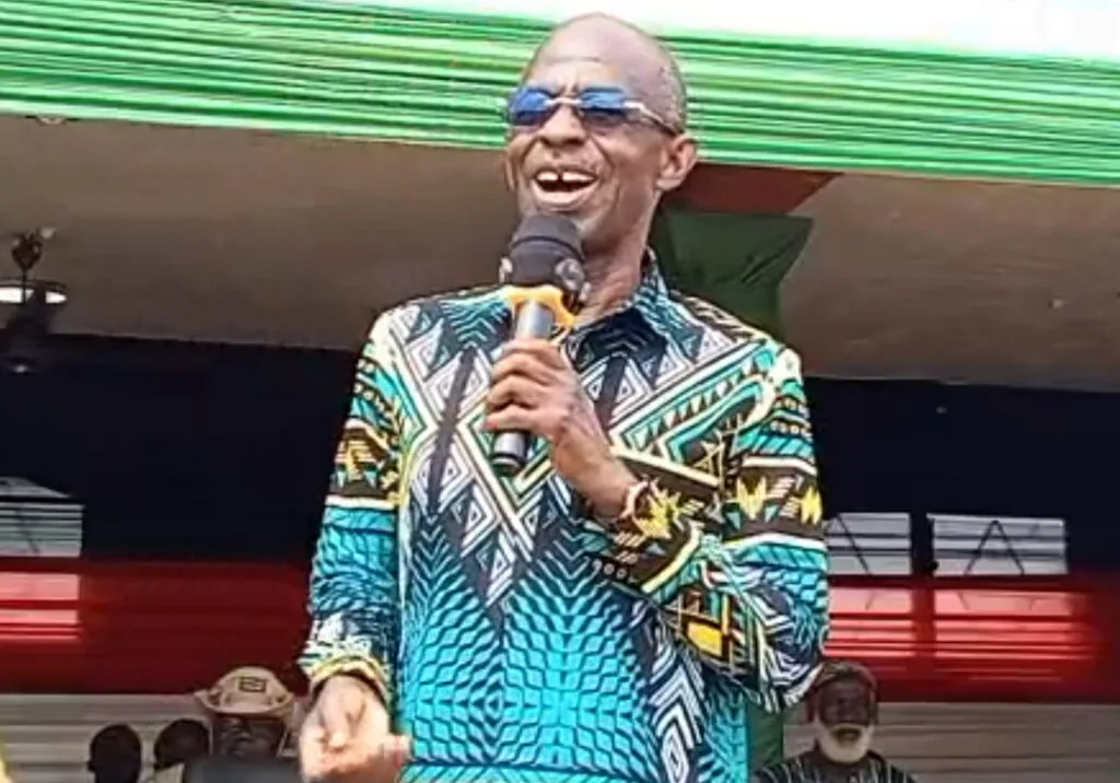 Inside the NDC's messy internal power struggle as General Mosquito bites back