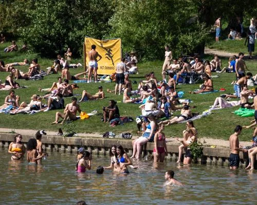 City of London Urged to Act Over Swimmers Disrupting Wildlife at Hampstead Heath