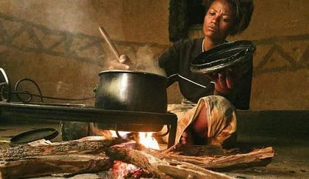 Nigerians Revert to Firewood as Cooking Gas Prices Surge