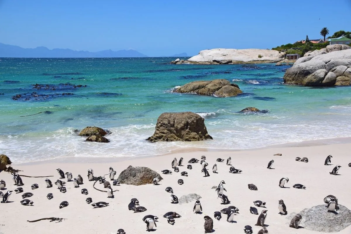 Table Mountain National Park Changes Operating Hours for Winter