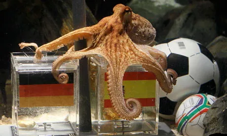 Paul the octopus and the strange World Cup tradition of psychic animals