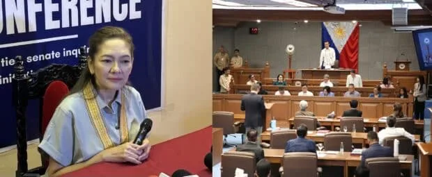 Anti-Political Dynasty Bill Could Affect 5,000 Posts - Senator