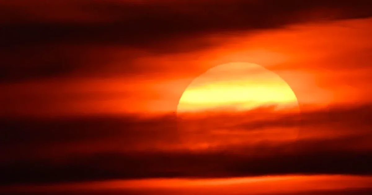 France Records 1,000 Excess Deaths During Record-Breaking Heatwave