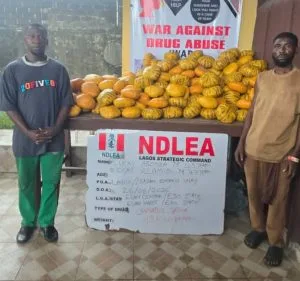 Nigeria: NDLEA Nabs China-Bound Businesswoman, 2 Benin Nationals in Nationwide Crackdown