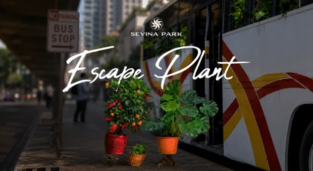 ARTHALAND Brings Sevina Park to Life with Charming Plant Film