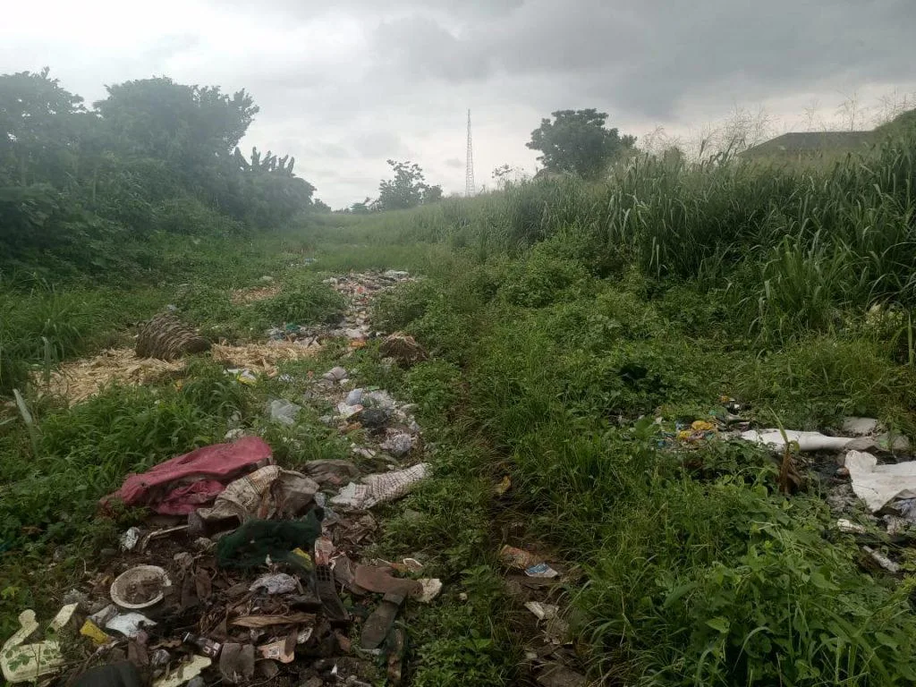 South-East Records Mixed Fortunes in Sanitation Efforts