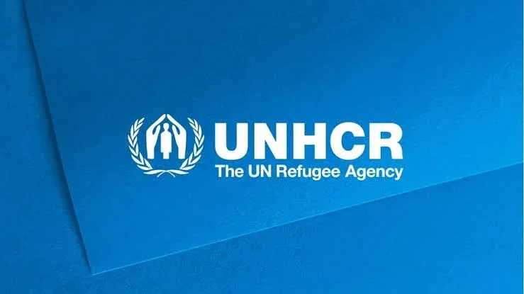 3.5 Million People Displaced in Lake Chad Basin