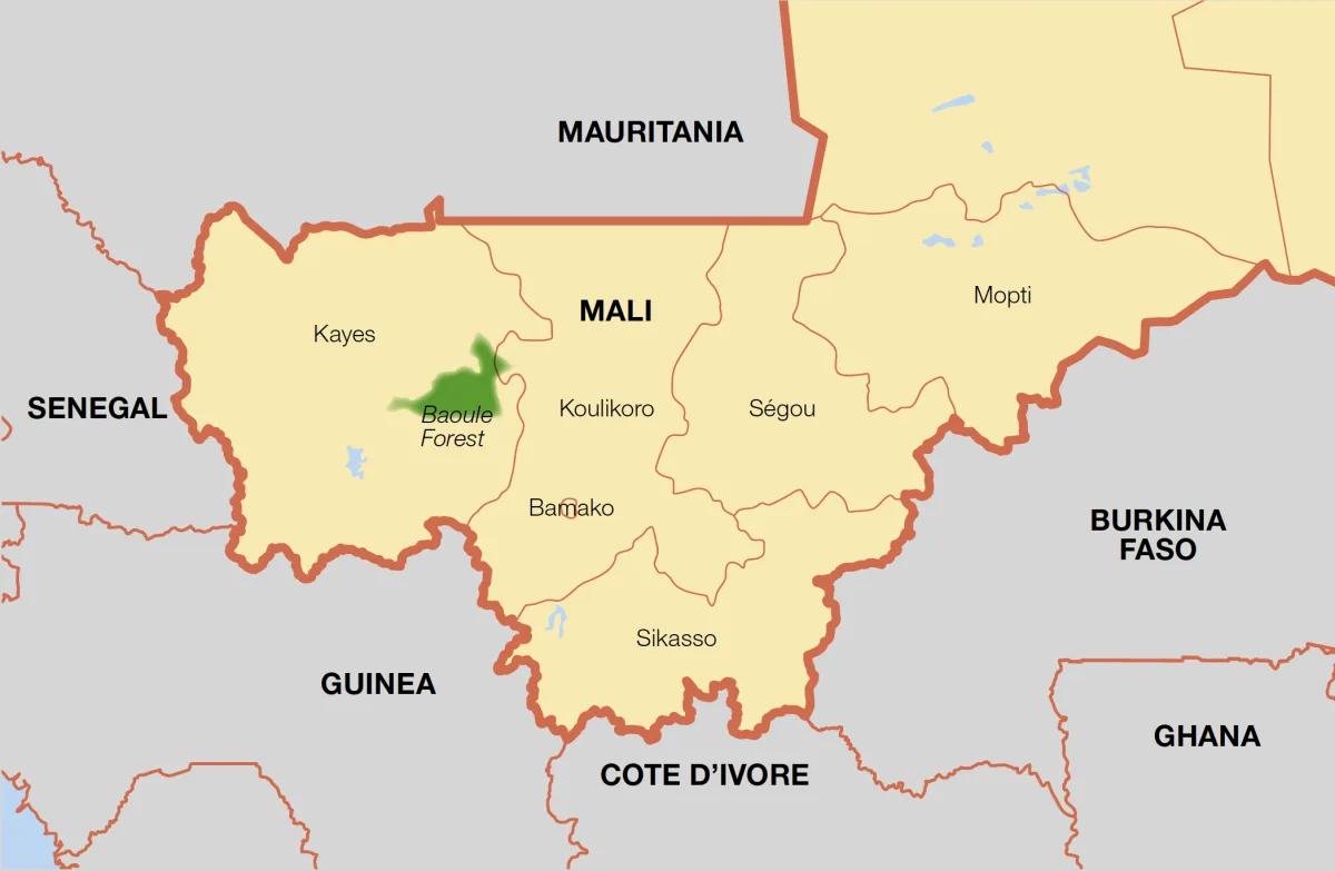 Mali Terrorist Attacks Target Government Troops, Civilians