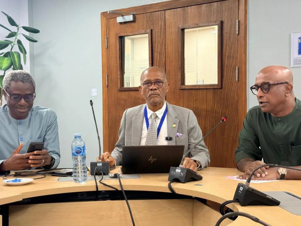 Lagos State Reveals Only 5% of Fever Cases are Malaria