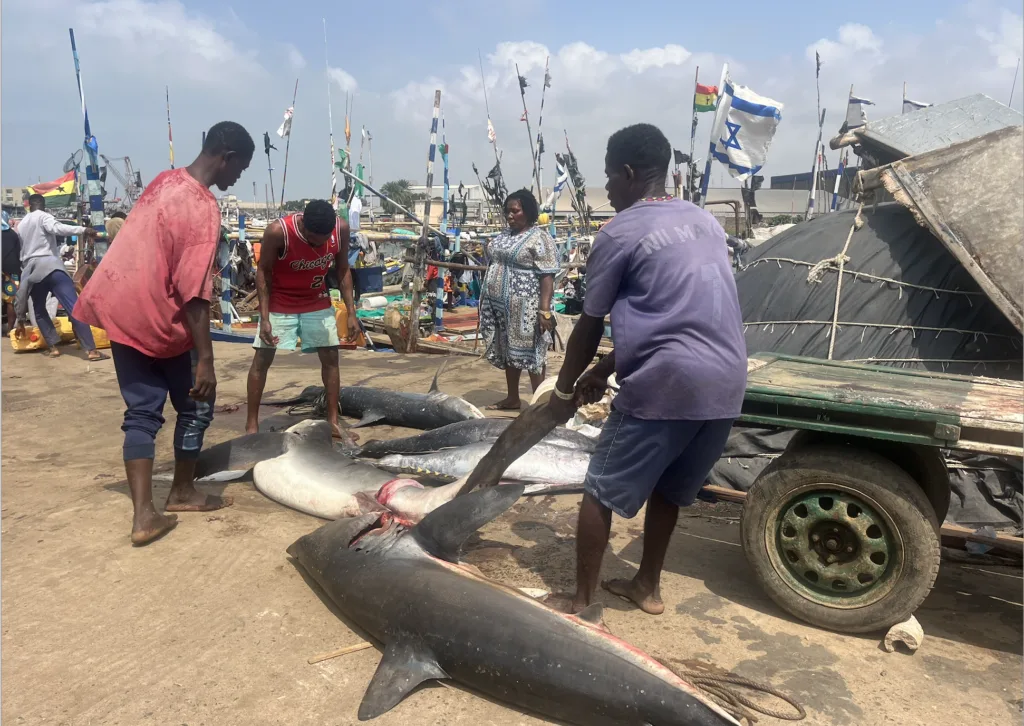 Ghana's Fish Consumers May Soon Know Where Their Fish Comes From