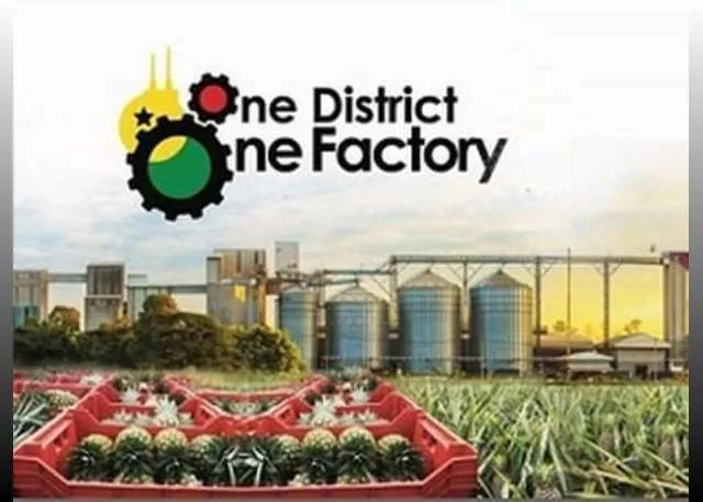 Oppong Nkrumah Urges Government to Bring Back 1D1F Initiative