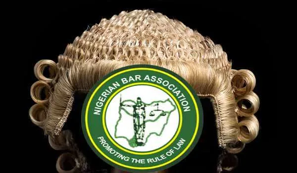 3 SANs in Nigeria's 2026 NBA Elections: Power Play and Court Rulings