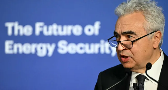 Investment In Critical Minerals Falls By Nine Percent In 2025, Warns IEA