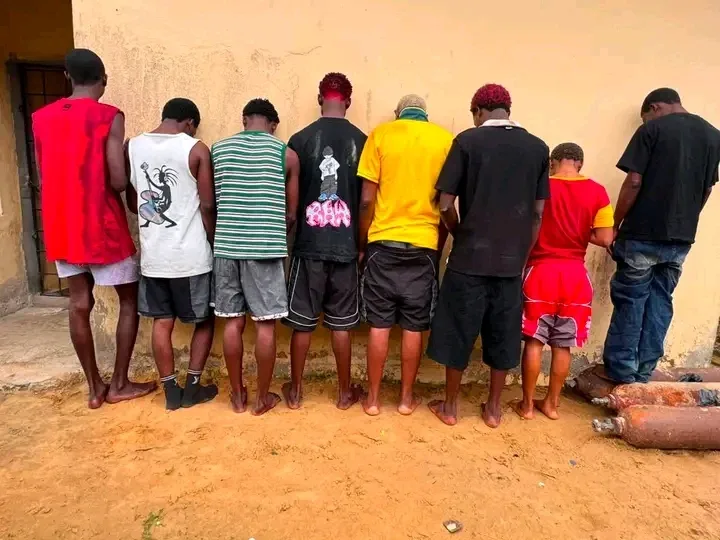 Bayelsa Police Arrest Eight Suspected Cultists Over NDU Student Assault