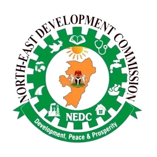 N100bn Solar Power Project for North-East Nigeria