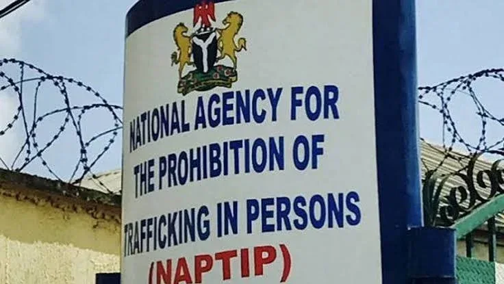 NAPTIP Arrests 120 Suspected Human Traffickers in Ondo, Rescues 300 Victims