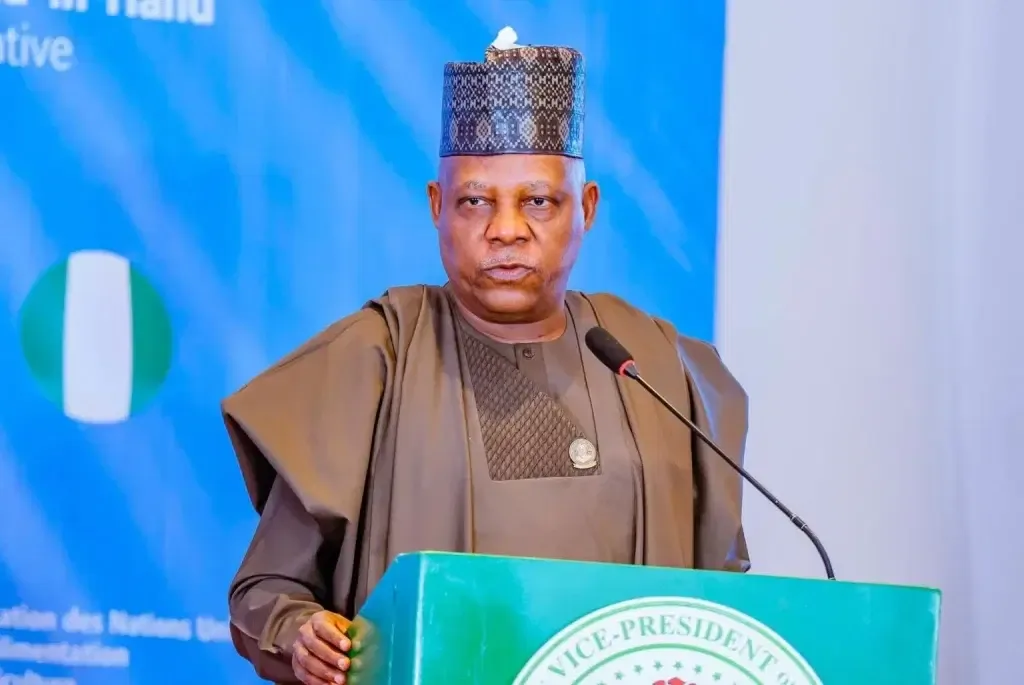 Criminals Have No Tribe; Don't Inherit Hatred, Shettima Tells Plateau Youths