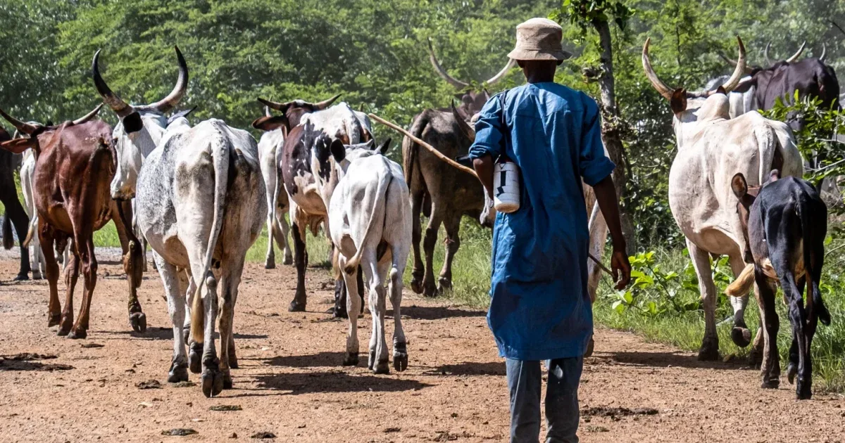 Farmer-Herder Conflict Alerts Reach 27 in Katsina, Zamfara