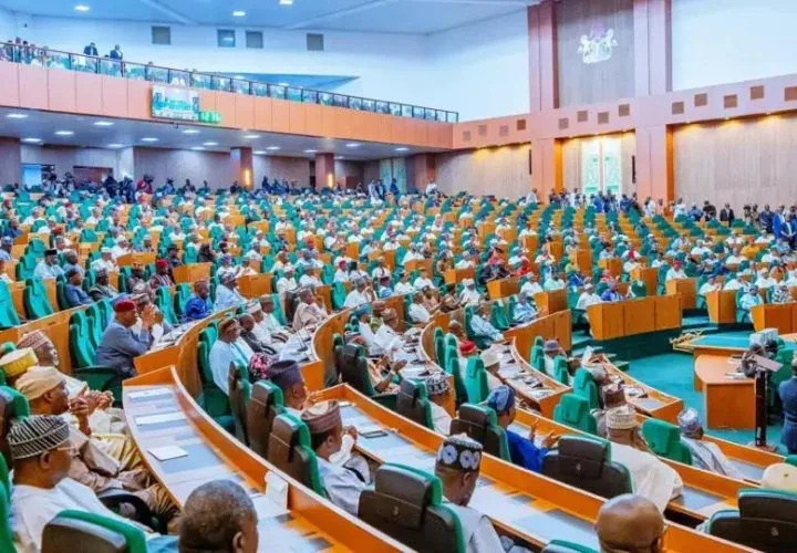 Nigeria's Democracy Nosedives, Say Lawmakers