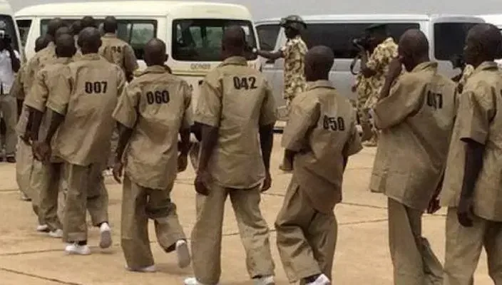 Terrorist Surrenders in North East Jump 213% in One Week - Military