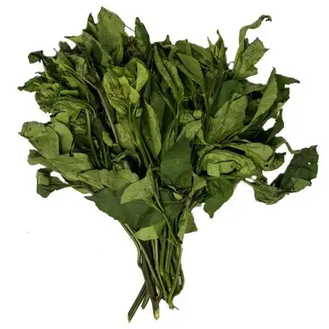 Nutritionists Warn: Slicing Veggies in Markets Before Washing Risks Poisoning, Nutrient Loss