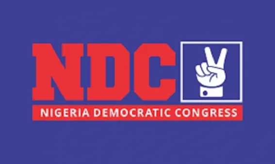 NDC Spokesperson Calls for Purge of 'Opportunistic' Content Creators