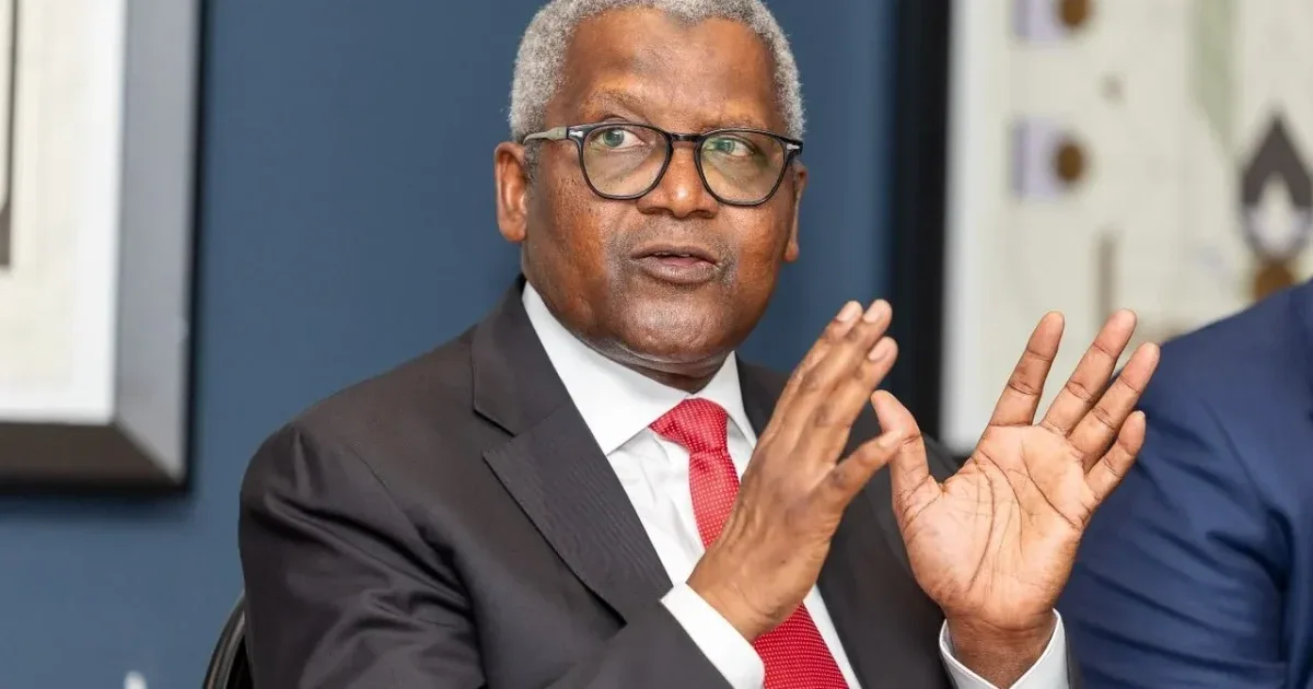 Nigerian Shipowners Tell Dangote: Give Us Cargo Contracts or We Can't Buy Ships